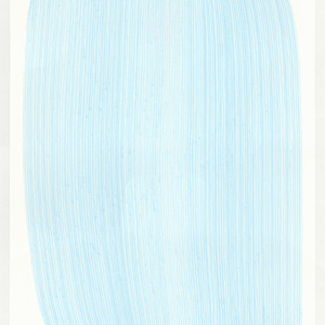 Lines 304 by Dana Piazza