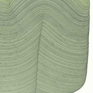 Lines 309 by Dana Piazza 