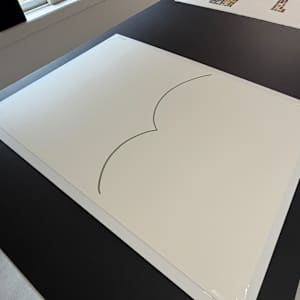 Lines 309 by Dana Piazza 