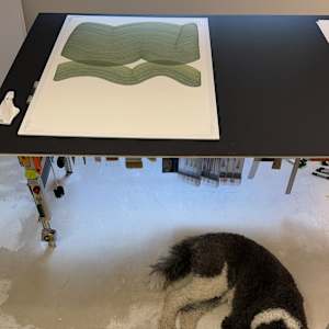 Lines 309 by Dana Piazza 