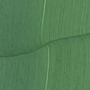 Lines 310 by Dana Piazza 