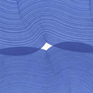 Lines 311 by Dana Piazza 