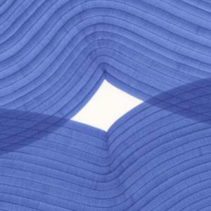 Lines 311 by Dana Piazza 