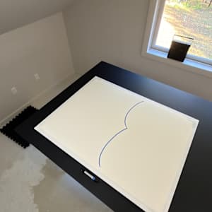 Lines 311 by Dana Piazza 