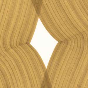 Lines 312 by Dana Piazza 