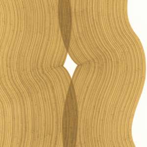 Lines 312 by Dana Piazza 