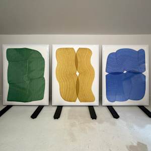 Lines 312 by Dana Piazza 