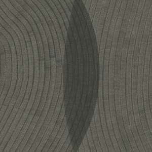 Lines 313 by Dana Piazza 