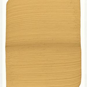 Lines 318 by Dana Piazza