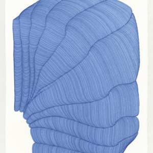 Lines 319 by Dana Piazza