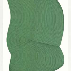 Lines 321 by Dana Piazza