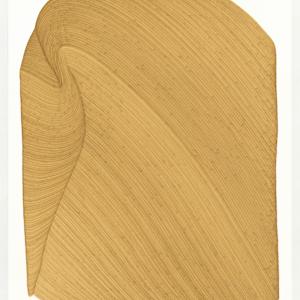 Lines 325 by Dana Piazza