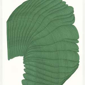 Lines 326 by Dana Piazza