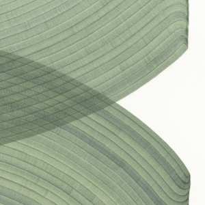 Lines 327 by Dana Piazza 