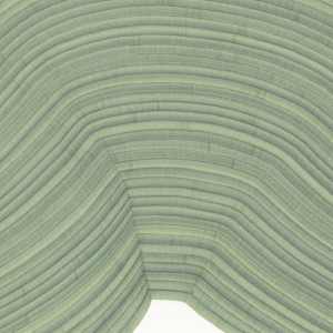 Lines 327 by Dana Piazza 