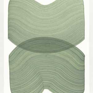 Lines 327 by Dana Piazza