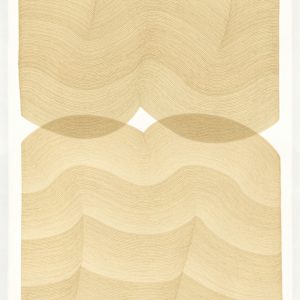 Lines 355 by Dana Piazza, Image 1.