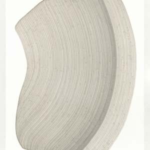 Lines 356 by Dana Piazza, Image 1.