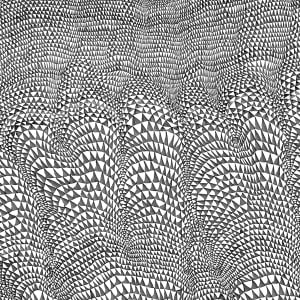 Triangles 2 by Dana Piazza 