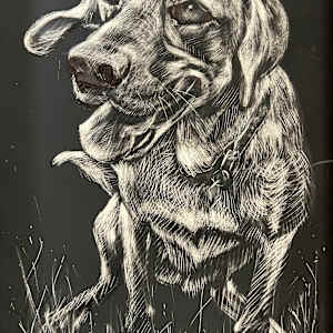 Missy 4 by Caryn Stromberg