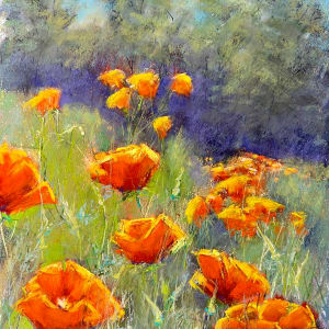 Poppies by Caryn Stromberg