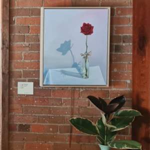 Red Rose by Rosalie Street 