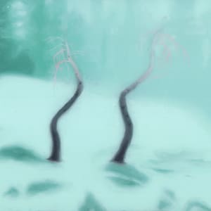 Bödmeren (no.18) by Luzia Imhof