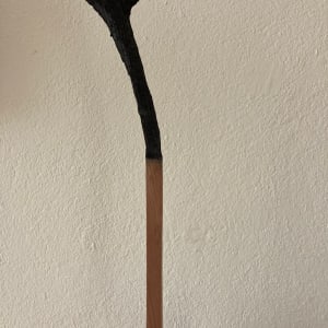 Züsli Nr.55 by Daniel Züsli 