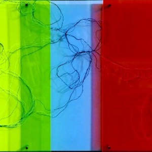 Licht und Schatten IV by Sonja Schmid