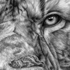 Panthera Leo – Print Edition by Sira Trinkler 