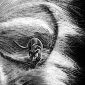 Panthera Leo – Print Edition by Sira Trinkler 