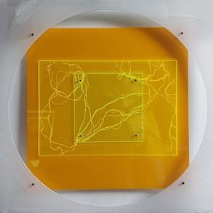 Plexi 15 by Sonja Schmid