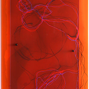 Plexi 6 by Sonja Schmid