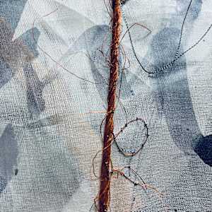 Schaukelmädchen by Ursula Waldburger 