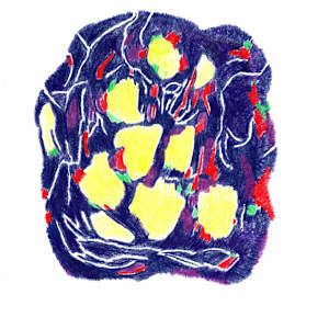 Sommergewebe 15 by Barbara Tresch-Stuppan