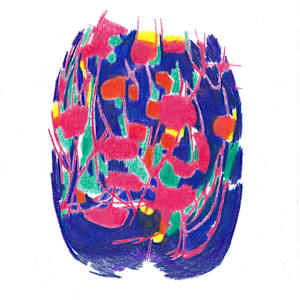 Sommergewebe 21 by Barbara Tresch-Stuppan