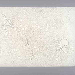 Tulpen by Myrtha Steiner