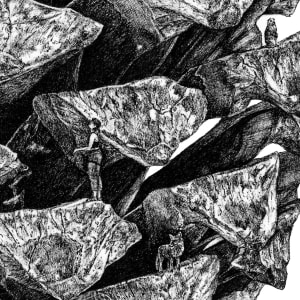 Tannenzapfen – Print Edition by Sira Trinkler 