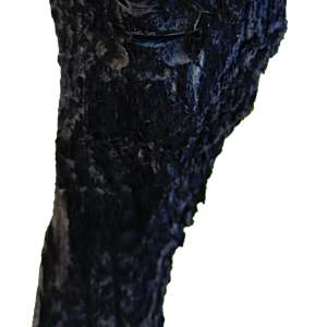 Züsli Nr. 67 by Daniel Züsli 
