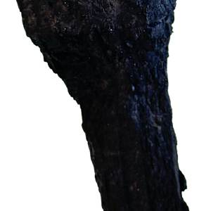 Züsli Nr. 79 by Daniel Züsli 