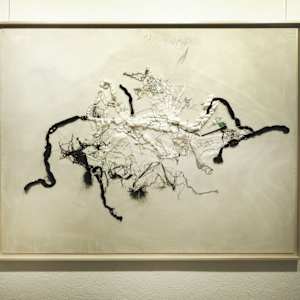 Nature Contrariée by Ursula Waldburger 