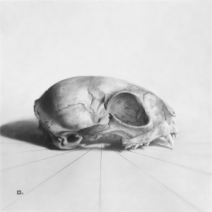  Cat Skull "9" The Series by Marshall Harris 
