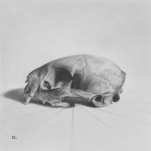  Cat Skull "9" The Series by Marshall Harris 