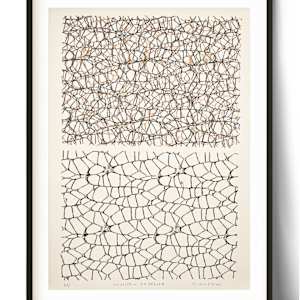 Uncertain exposures by Clare Winslow 