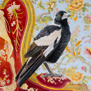 Titan - Magpie on a Rothschild's chair by Fiona Smith 