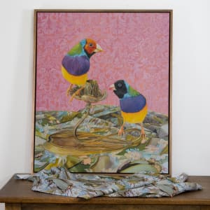 Gouldan Girls - Gouldian Finches on May Gibbs' print by Fiona Smith 