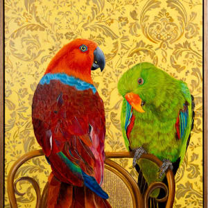 Opposites attract – Eclectus Parrot by Fiona Smith 