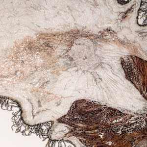 A Prickly Matter, Indeed! by Fisher Carla, Image 3.