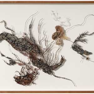 In A Barkly Manner by Fisher Carla, Image 3.