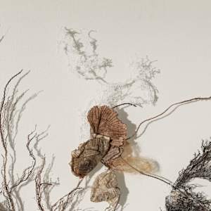 In A Barkly Manner by Fisher Carla, Image 2.